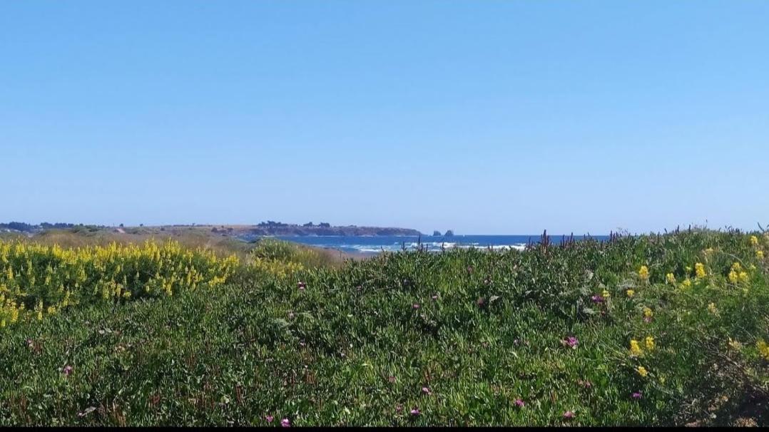 Saldemar Playa Hermosa Pichilemu Bagian luar foto